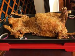 -九十九顶毡房(阜石路店)