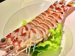 花竹蝦-协成海鲜火锅(海洋花园店)