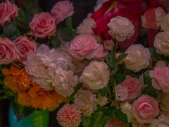 -芭缇沁园椰子鸡(中航紫金新天地店)