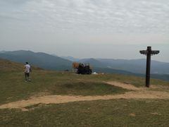 -大姆山草场