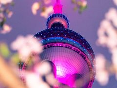 -东方明珠广播电视塔