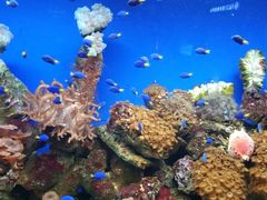 -海合安成都极地海洋公园