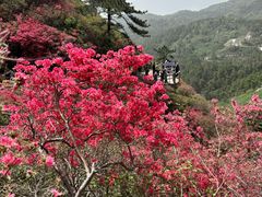 -木兰云雾山