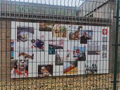 -三里屯东五街银杏大道