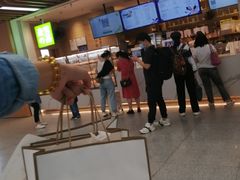 -奈雪的茶(深圳北站店)