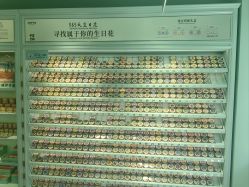 -青稚护手霜QINGZHI
