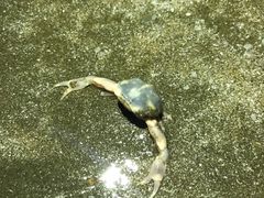-嵊泗基湖沙滩