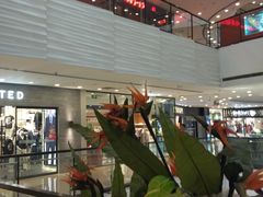 -万达广场(济南魏家庄店)