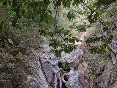 -九龙江国家森林公园