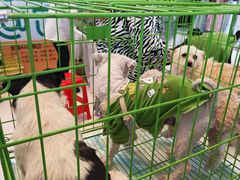 -万达广场(龙湖店)