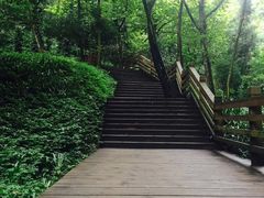 -青城山