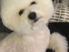 -PETKIT小佩宠物(古北店)