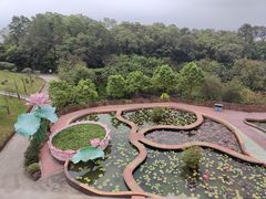 -广州莲花山旅游区