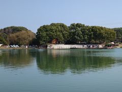 -新洲生态园