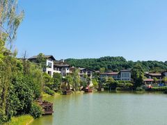 -铁山坪森林公园