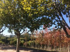 -山东大学(兴隆山校区)