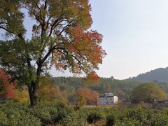 -塔川景区