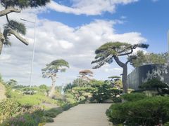 -罗红摄影艺术馆