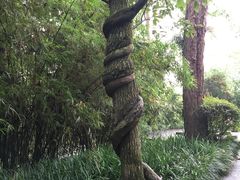 -千岛湖东南湖区