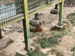 -中华郡文化旅游景区
