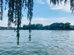 -同里湖度假村(二期店)