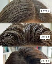 -MAGI美界造型