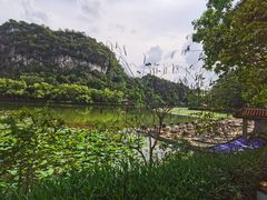 -星湖旅游景区七星岩