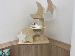 -瞄一喵猫咖(格力海岸店)