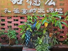 -品德宏·孔雀宴的发源地(金塔园店)