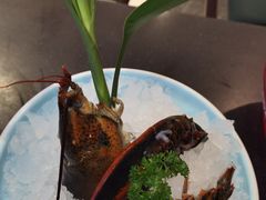波士顿龙虾-蓝钻·国际美食海鲜自助百汇(西直门店)