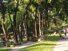 -东风公园