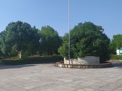 -中国扬子鳄村