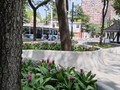 -中山公园