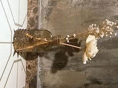 卫生间-鲜螺湾(鹏欣丽都店)