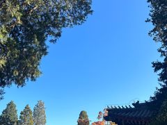 -香山公园