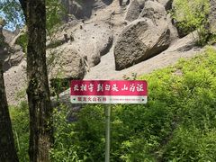 -峡谷浮石林景区