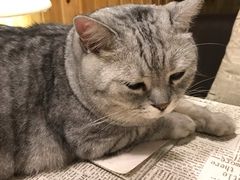 -隅cafe(傅厚岗店)