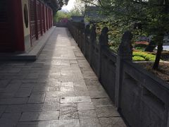 -玉泉院