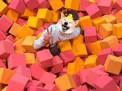 -极限PLAY运动娱乐新世界·团建派对潮玩休闲馆·室内蹦极高空游乐园