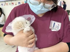 -美联众合动物医院·24h京西诊疗中心