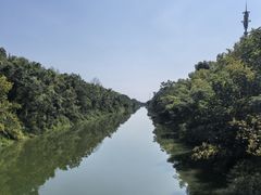 -黄海国家森林公园