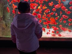 -常州海昌海洋探索馆