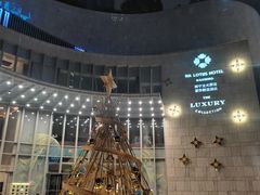 -南宁那莲豪华精选酒店-云霄酒廊·80楼高空城景酒吧
