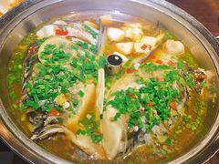 -铂米星座(瑞安店)
