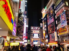 -秋叶原电器街