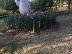 -白塔湖国家湿地公园