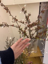 -Fanni美甲美睫皮肤管理