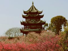 -上海海湾国家森林公园