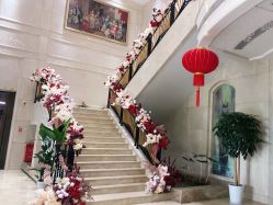 -禾丽康美医疗美容医院