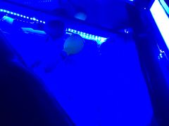 -汇乐迪连锁量贩式KTV(潍坊店)